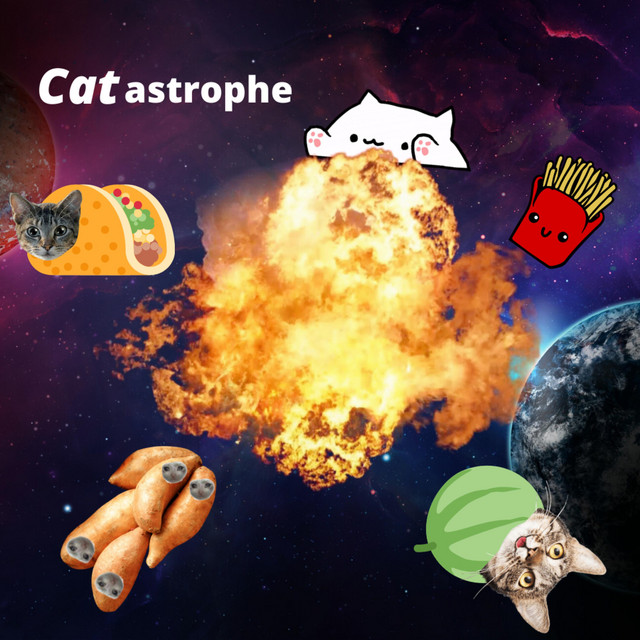 Yam Cat
